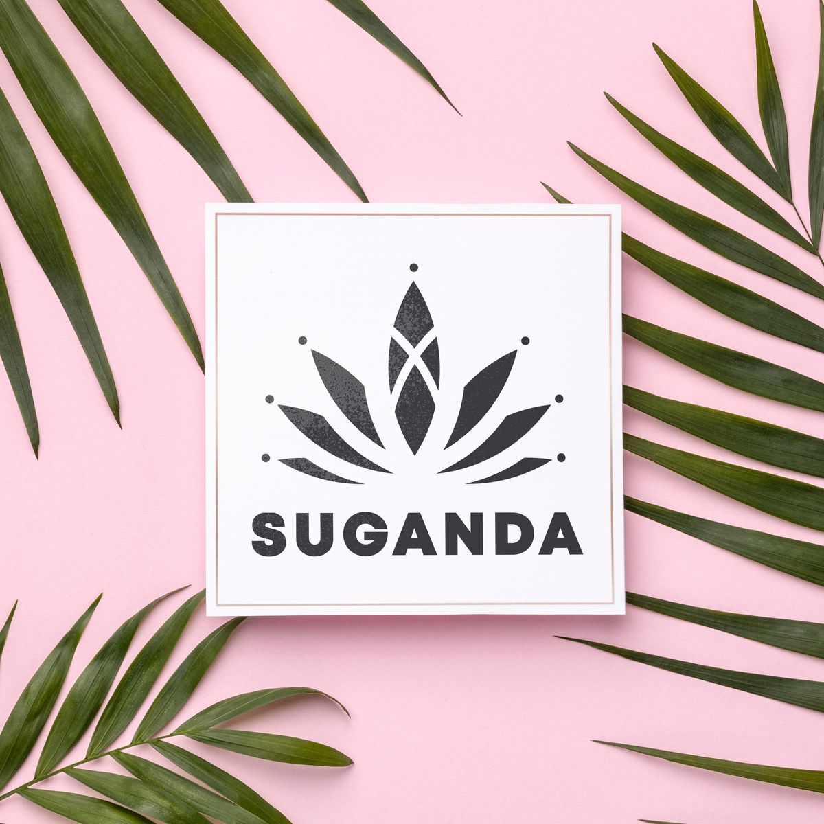 Suganda Cosmetics Brand Identity